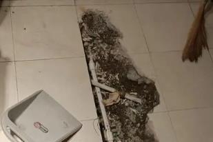 德格卫生间漏水检测电话